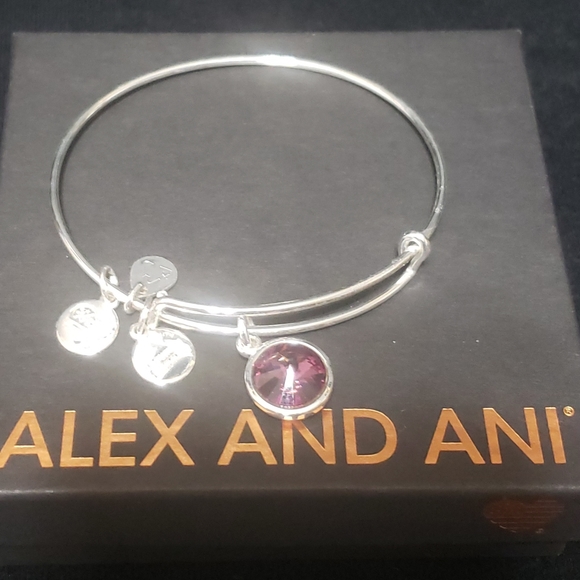 NWOT Alex & Ani RS February Swarovski Bracelet - Picture 3 of 11